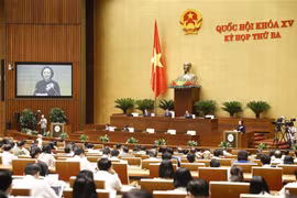 第十五届国会第三次会议：维护家庭和民族的良好传统文化价值