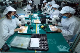 越南对匈牙利商品出口前景广阔