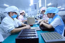 河内市致力为企业营造良好且平等的生产营商环境
