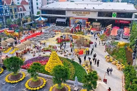 胡志明市春游景点做好迎接壬寅年春节准备工作
