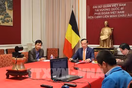 平阳省鼓励比利时企业前来投资