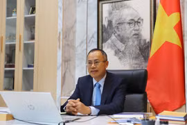 越南承诺推动越南与联合国和亚太经社会的关系走向深入和务实