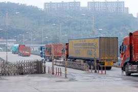 老街省设立新冠疫情安全“绿区” 为进出口活动提供便利