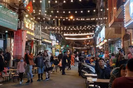 河内市五社玉岛夜市美食街和步行街开业 气氛热闹非凡