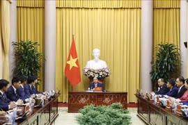 越南国家主席阮春福会见日本自民党青年议员代表团