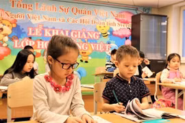 2022年旅居海外越南人越南语教师培训班在河内开班