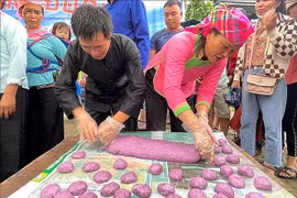 山神节：莱州省热依族的独特节日 
