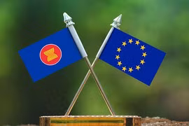 越南——欧盟在东盟的重要伙伴