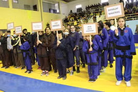 阿尔及利亚全国越南武术锦标赛吸引近500名运动员参赛