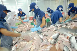 东盟各国加大对越南查鱼产品的进口力度