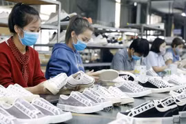 越南鞋类产品出口在全球市场所占份额首次超过10%