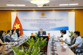 越南与秘鲁贸易合作潜力巨大