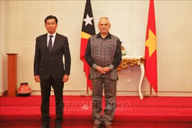 越南与东帝汶促进多方面友好合作关系