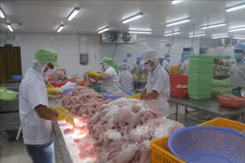 越南充分利用优势增加对加拿大市场的出口