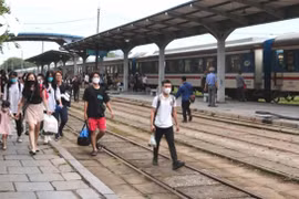 海防市“食途”旅游线：一个不错的选择 