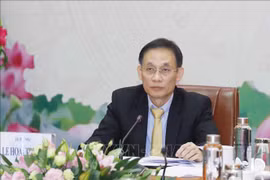 越南共产党与德国社会民主党座谈在线举行