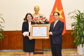 越南外长裴青山向澳大利亚驻越南大使授予友谊勋章