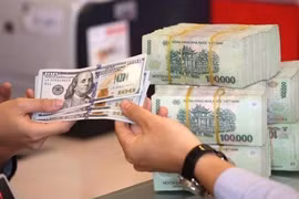 12月6日越盾对美元中间价保持不变