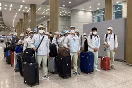 韩国依然是越南的主要劳务输出市场