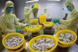 2022年3月份越南水产品出口额增长25%