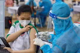 胡志明市：未有根据视新冠病毒为季节性感冒