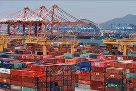 韩国增加从越南进口商品与服务