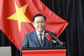 教育合作一直是越南与新西兰关系的核心领域 