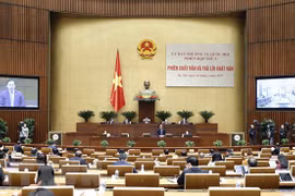 国会专职代表会议：讨论提请国会第三次会议审议的4项法律草案