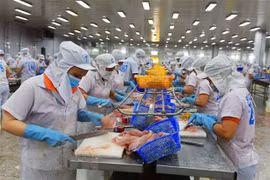美国维持对越南查鱼和巴沙鱼的现行反倾销税率