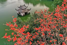 2022年友谊之旅：深化越南人民与国际友人之间的友谊