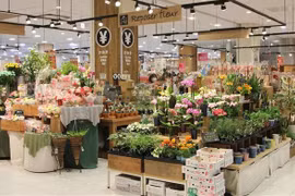 越南花卉开始在日本市场站稳脚跟
