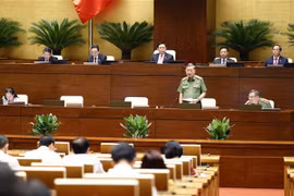 国会常委会第14次会议：公安部部长苏林就新版护照问题作进一步说明