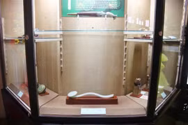 胡志明市历史博物馆举行古玉展