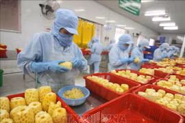 越南蔬果出口企业必须主动扩大出口市场