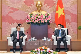 越南国会主席王廷惠会见老挝国家审计署审计长