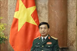 越南国防部长潘文江与新西兰国防部长通电话