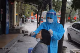 2月9日越南新增确诊病例超23956例 新增死亡病例93例