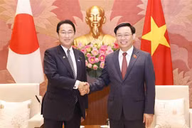 越南国会主席王廷惠会见日本首相岸田文雄