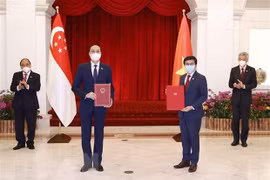 加强越南祖国阵线中央委员会与新加坡人民协会的合作关系