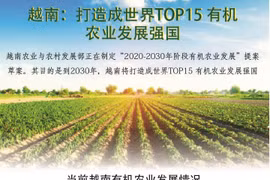 图表新闻：越南打造成世界TOP15 有机农业发展强国