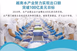 图表新闻：越南水产业努力实现出口额突破100亿美元目标