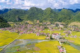 组图：谅山省北山“金季”之美