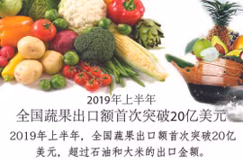 图表新闻：全国蔬果出口额首次突破20亿美元