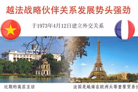 图表新闻：越法战略伙伴关系发展势头强劲