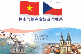 图表新闻：越南与捷克友好合作关系
