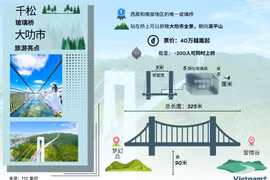 图表新闻：千松玻璃桥--林同省大叻市的旅游亮点
