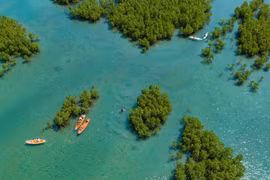 组图：体验庆和省芽庄湾红树林生态旅游区