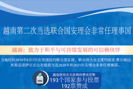 图表新闻：越南第二次当选联合国安理会非常任理事国