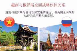 图表新闻：越南与俄罗斯全面战略伙伴关系简介
