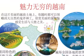 图表新闻：魅力无穷的越南 